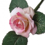 ローズピック：ローズピンク