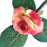 ローズピック：ウォーターメロン