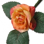 ローズピック：パッションオレンジ