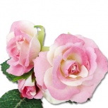 デュオローズ：ローズピンク