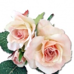 デュオローズ：ピーチピンク