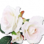 デュオローズ：スノーピンク