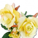 デュオローズ：クリームイエロー
