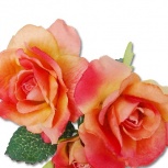 デュオローズ：パッションオレンジ