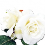 デュオローズ：ミルキーアイボリー