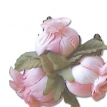 ミニローズ：プリンセスピンク