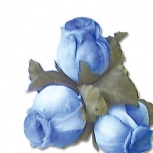 ミニローズ：ブルー