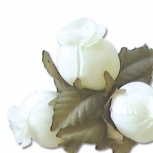 ミニローズ：アイボリー