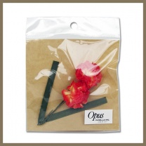 デュオカーネ：商品形態