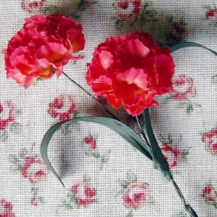 デュオカーネ：イメージ