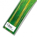 オーラタイ：MIXグリーン