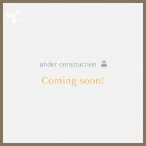 クリスマスBOX：商品形態