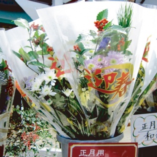 OTD和 賀正花袋：イメージ